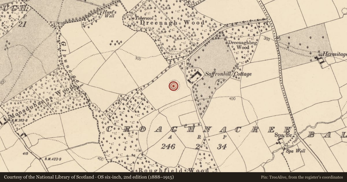 Ordnance Survey six-inch map, 2nd edition (1888–1915) covering the location of Ringfort - rath, Croaghnacree, County Cork, with a pin at the register's coordinates