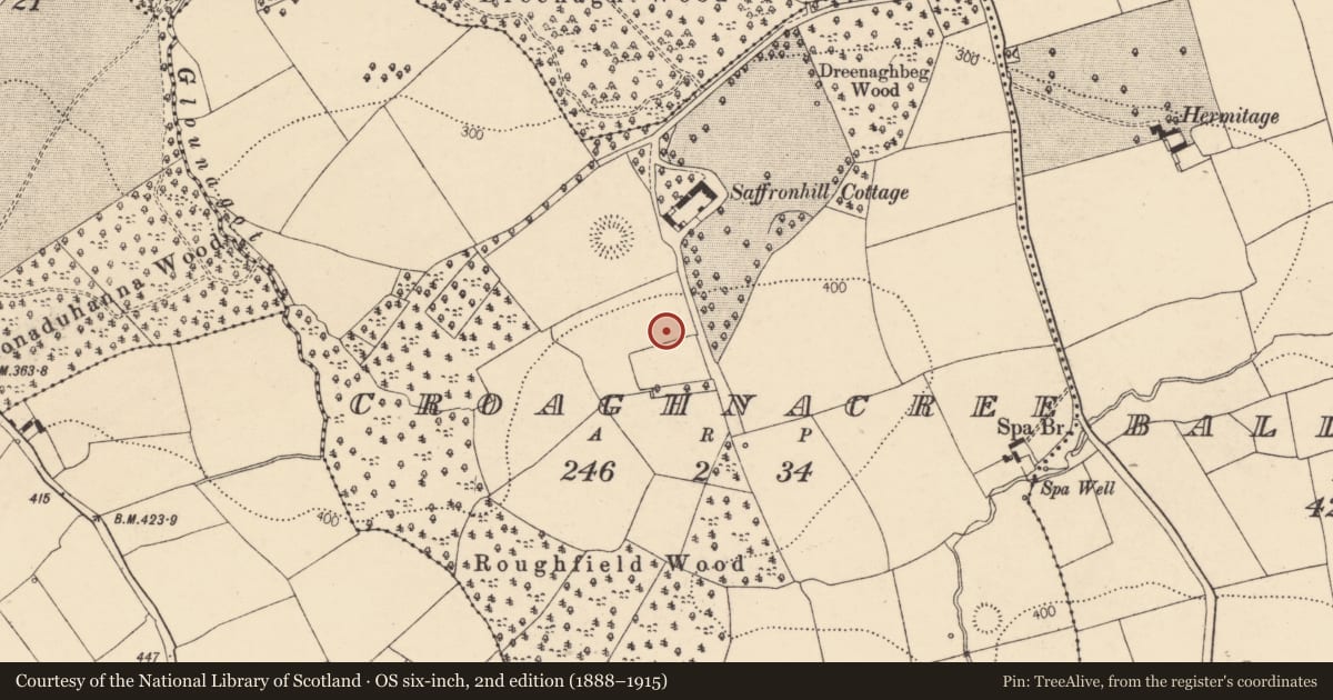 Ordnance Survey six-inch map, 2nd edition (1888–1915) covering the location of Ringfort - rath, Croaghnacree, County Cork, with a pin at the register's coordinates