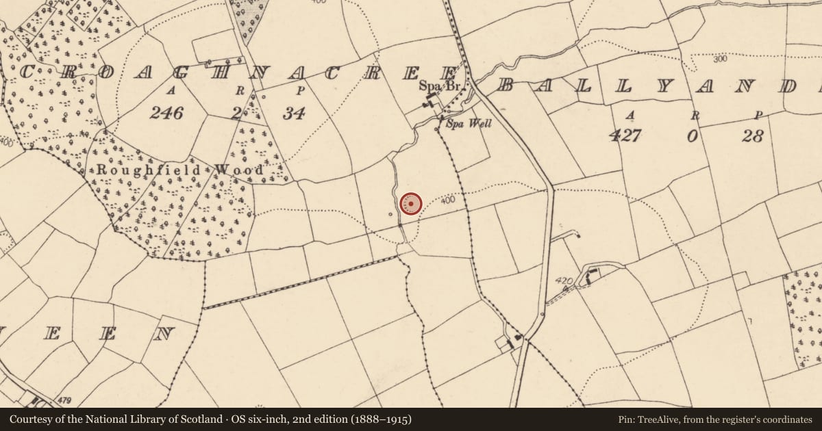Ordnance Survey six-inch map, 2nd edition (1888–1915) covering the location of Ringfort - rath, Croaghnacree, County Cork, with a pin at the register's coordinates