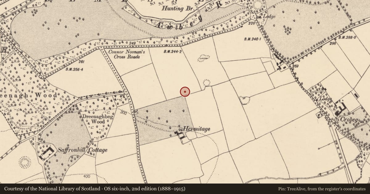 Ordnance Survey six-inch map, 2nd edition (1888–1915) covering the location of Ringfort - rath, Ballyandrew, County Cork, with a pin at the register's coordinates