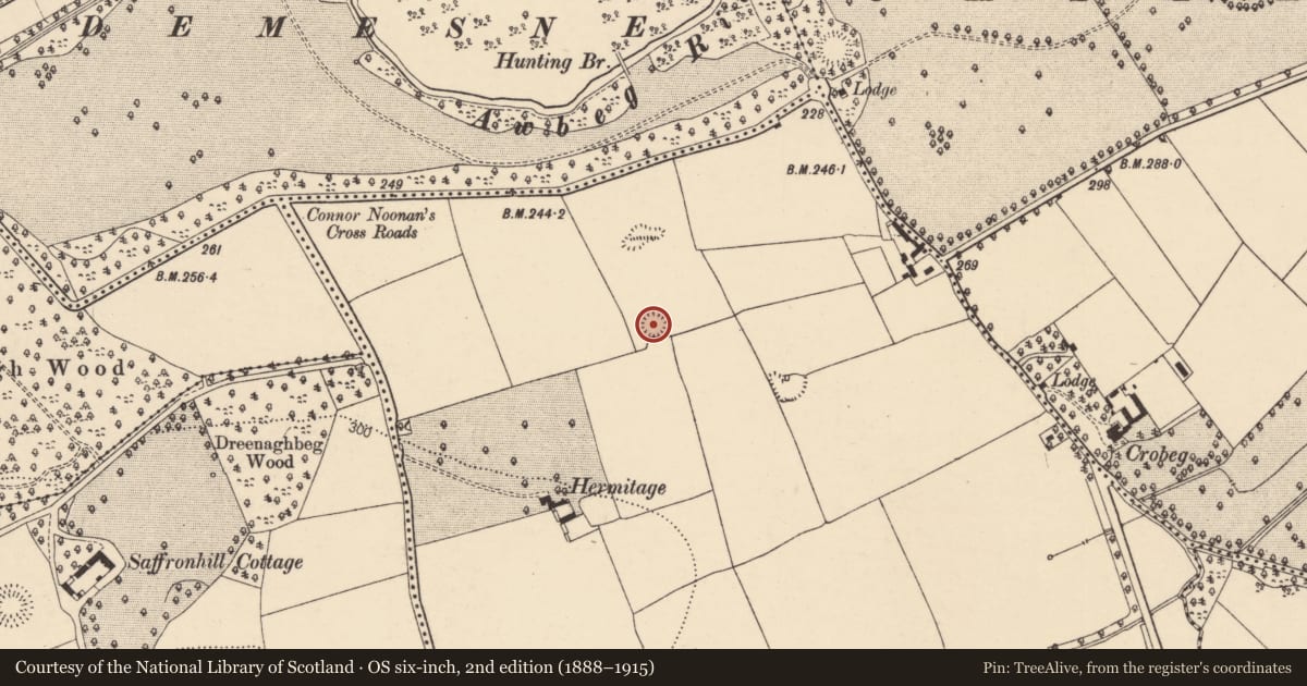 Ordnance Survey six-inch map, 2nd edition (1888–1915) covering the location of Ringfort - rath, Ballyandrew, County Cork, with a pin at the register's coordinates