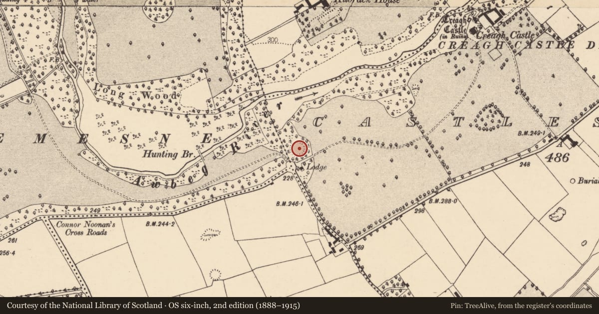 Ordnance Survey six-inch map, 2nd edition (1888–1915) covering the location of Ringfort - rath, Castlesaffron, County Cork, with a pin at the register's coordinates