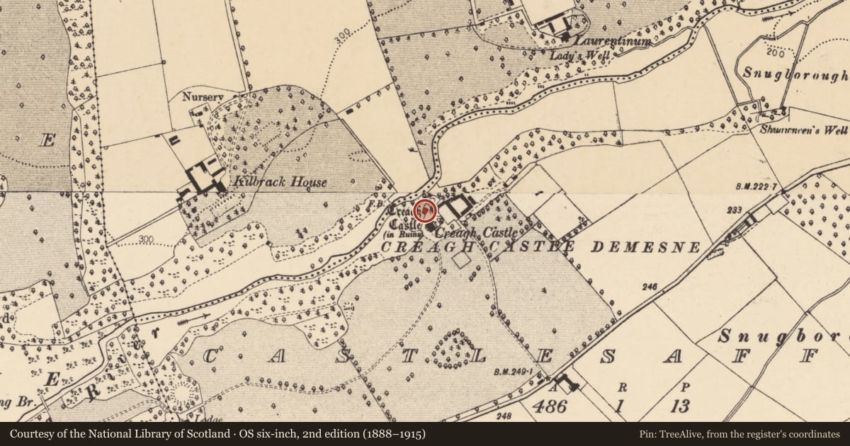 Ordnance Survey six-inch map, 2nd edition (1888–1915) covering the location of Castle - tower house, Castlesaffron, County Cork, with a pin at the register's coordinates