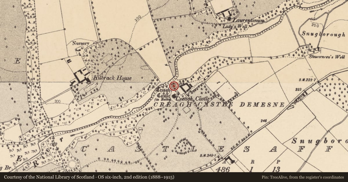 Ordnance Survey six-inch map, 2nd edition (1888–1915) covering the location of Kiln - lime, Castlesaffron, County Cork, with a pin at the register's coordinates