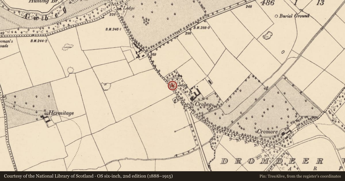 Ordnance Survey six-inch map, 2nd edition (1888–1915) covering the location of Burial, Castlesaffron, County Cork, with a pin at the register's coordinates