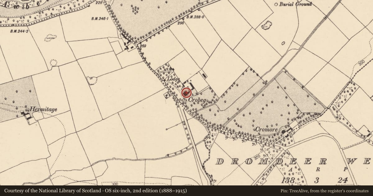 Ordnance Survey six-inch map, 2nd edition (1888–1915) covering the location of Country house, Castlesaffron, County Cork, with a pin at the register's coordinates