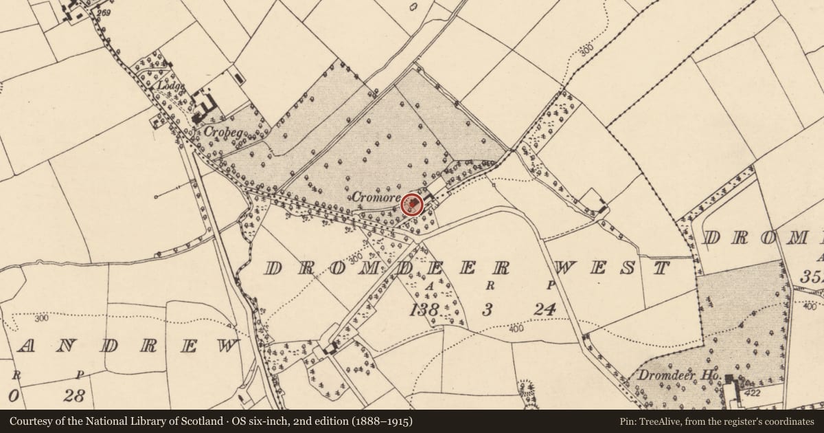Ordnance Survey six-inch map, 2nd edition (1888–1915) covering the location of Country house, Castlesaffron, County Cork, with a pin at the register's coordinates