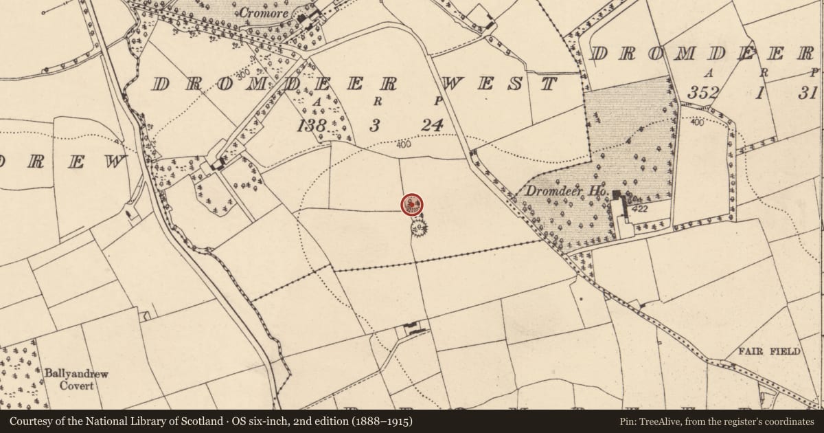 Ordnance Survey six-inch map, 2nd edition (1888–1915) covering the location of Ringfort - rath, Dromdeer West, County Cork, with a pin at the register's coordinates