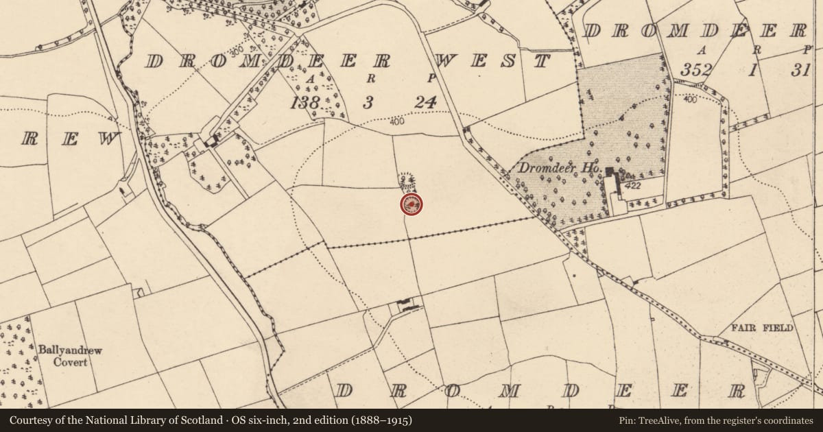 Ordnance Survey six-inch map, 2nd edition (1888–1915) covering the location of Ringfort - rath, Dromdeer West, County Cork, with a pin at the register's coordinates