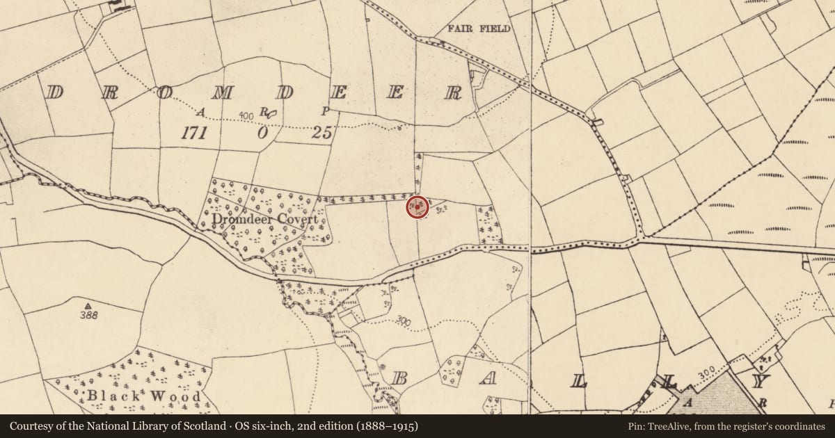 Ordnance Survey six-inch map, 2nd edition (1888–1915) covering the location of House - indeterminate date, Dromdeer, County Cork, with a pin at the register's coordinates