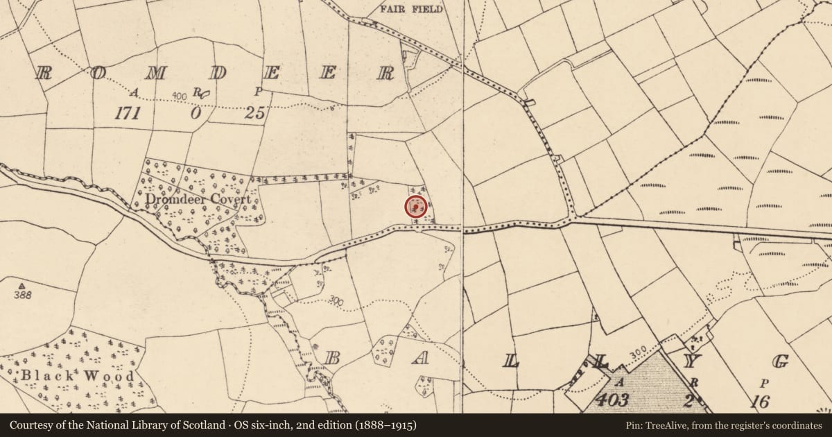 Ordnance Survey six-inch map, 2nd edition (1888–1915) covering the location of Fulacht fia, Dromdeer, County Cork, with a pin at the register's coordinates