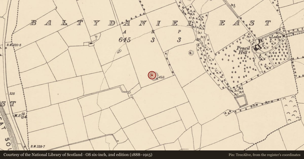 Ordnance Survey six-inch map, 2nd edition (1888–1915) covering the location of Ringfort - rath, Baltydaniel East, County Cork, with a pin at the register's coordinates