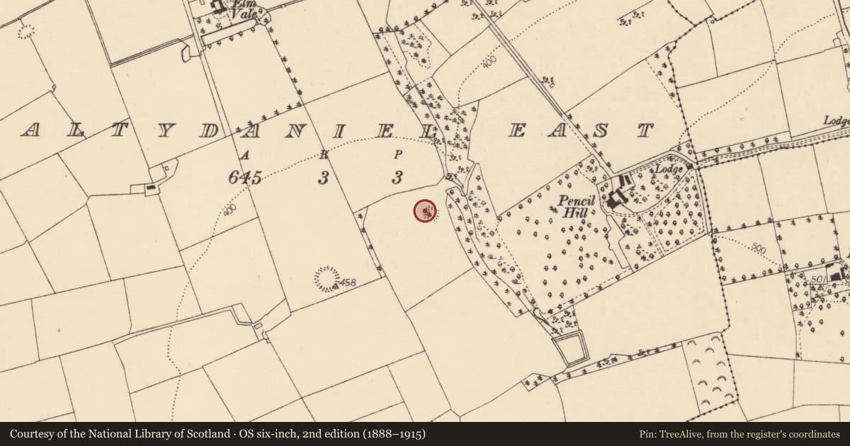 Ordnance Survey six-inch map, 2nd edition (1888–1915) covering the location of Ringfort - rath, Baltydaniel East, County Cork, with a pin at the register's coordinates