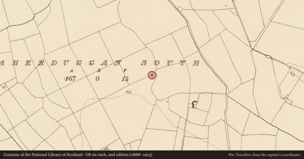 Ordnance Survey six-inch map, 2nd edition (1888–1915) covering the location of Ringfort - rath, Caherduggan South, County Cork, with a pin at the register's coordinates