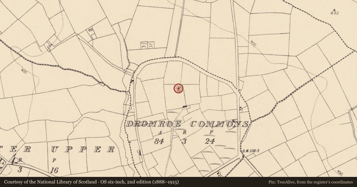 Ordnance Survey six-inch map, 2nd edition (1888–1915) covering the location of Ringfort - rath, Dromroe Commons, County Cork, with a pin at the register's coordinates