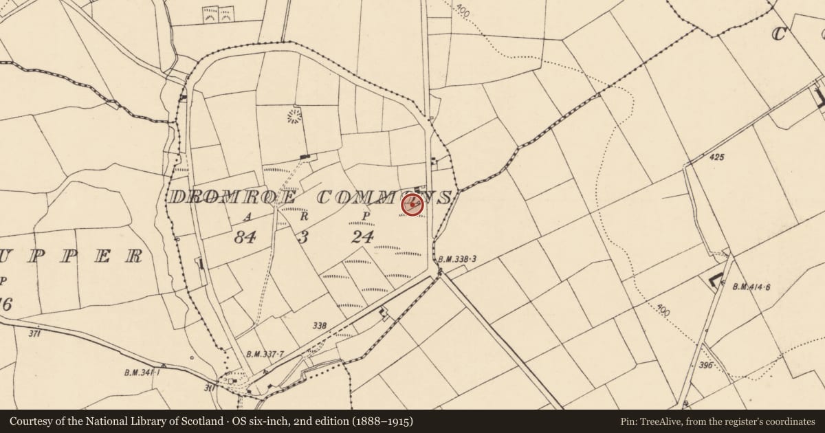 Ordnance Survey six-inch map, 2nd edition (1888–1915) covering the location of Designed landscape - tree-ring, Dromroe Commons, County Cork, with a pin at the register's coordinates