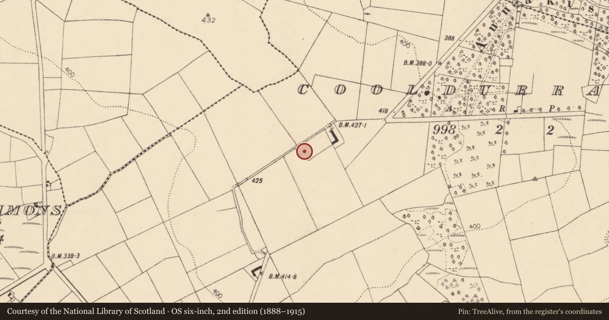 Ordnance Survey six-inch map, 2nd edition (1888–1915) covering the location of Ringfort - rath, Cooldurragha (Fermoy By., Carrigleamleary Par.), County Cork, with a pin at the register's coordinates