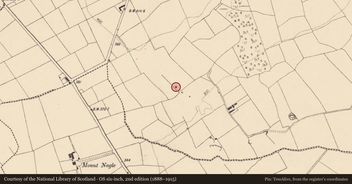 Ordnance Survey six-inch map, 2nd edition (1888–1915) covering the location of Ringfort - rath, Cooldurragha (Fermoy By., Carrigleamleary Par.), County Cork, with a pin at the register's coordinates