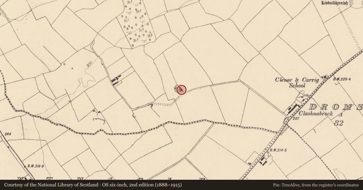 Ordnance Survey six-inch map, 2nd edition (1888–1915) covering the location of Kiln - lime, Cooldurragha (Fermoy By., Carrigleamleary Par.), County Cork, with a pin at the register's coordinates