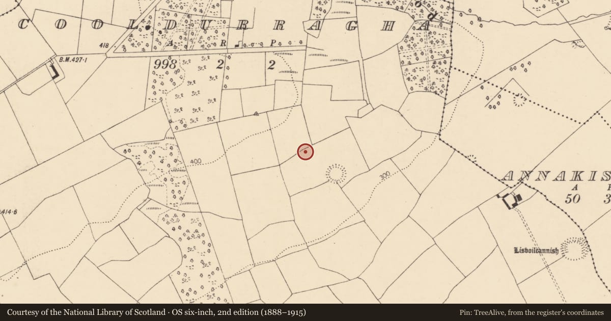 Ordnance Survey six-inch map, 2nd edition (1888–1915) covering the location of Enclosure, Cooldurragha (Fermoy By., Carrigleamleary Par.), County Cork, with a pin at the register's coordinates