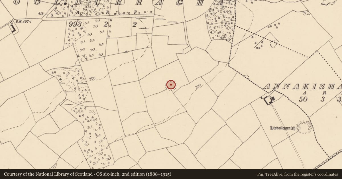 Ordnance Survey six-inch map, 2nd edition (1888–1915) covering the location of Ringfort - rath, Cooldurragha (Fermoy By., Carrigleamleary Par.), County Cork, with a pin at the register's coordinates