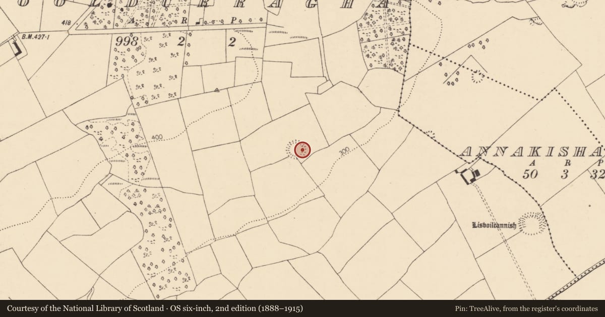 Ordnance Survey six-inch map, 2nd edition (1888–1915) covering the location of Ritual site - holy well, Cooldurragha (Fermoy By., Carrigleamleary Par.), County Cork, with a pin at the register's coordinates