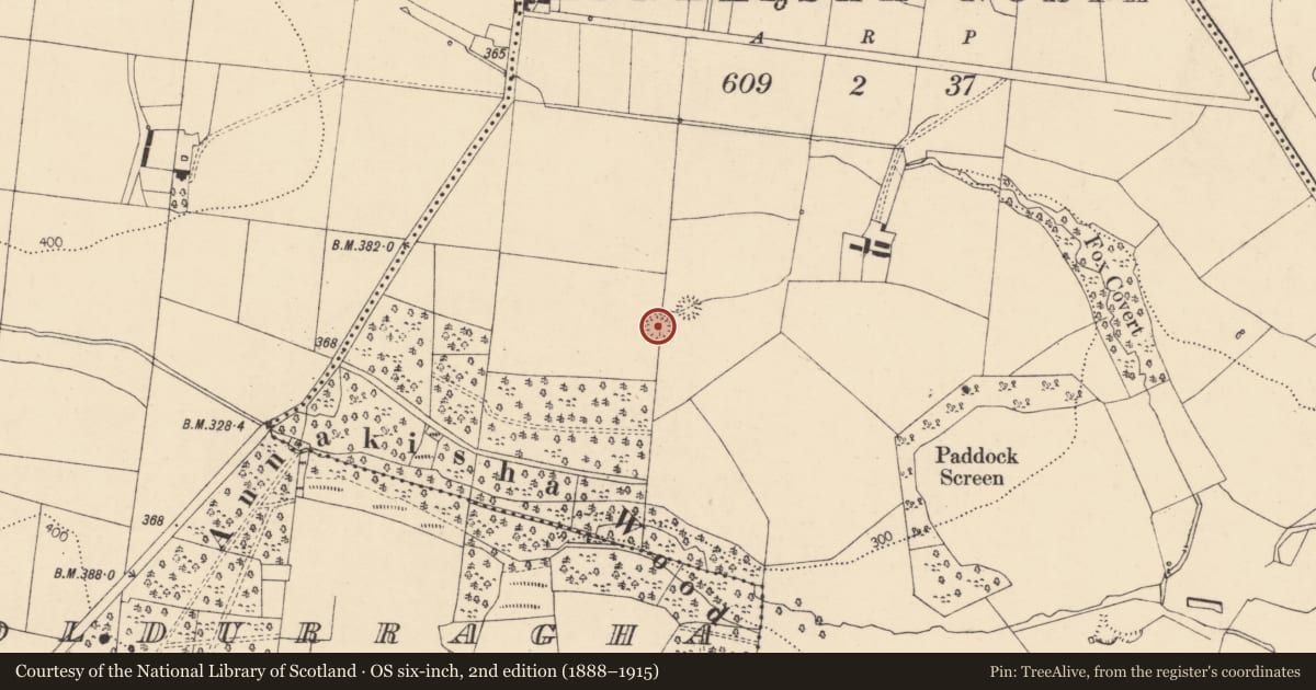 Ordnance Survey six-inch map, 2nd edition (1888–1915) covering the location of Ringfort - rath, Annakisha North, County Cork, with a pin at the register's coordinates