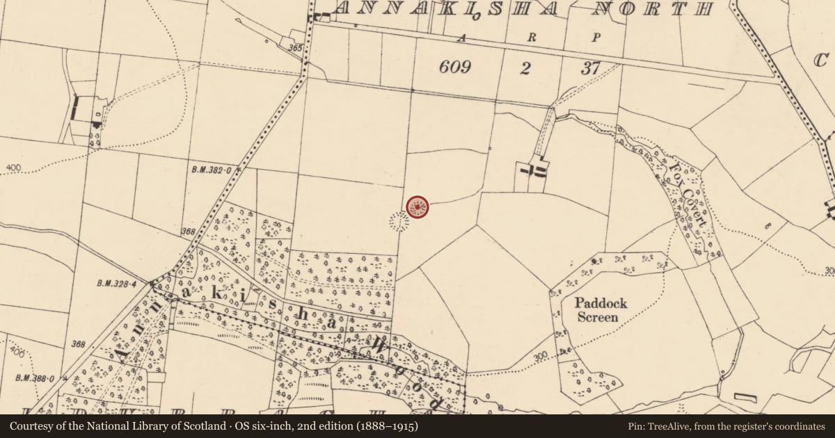 Ordnance Survey six-inch map, 2nd edition (1888–1915) covering the location of Ringfort - rath, Annakisha North, County Cork, with a pin at the register's coordinates