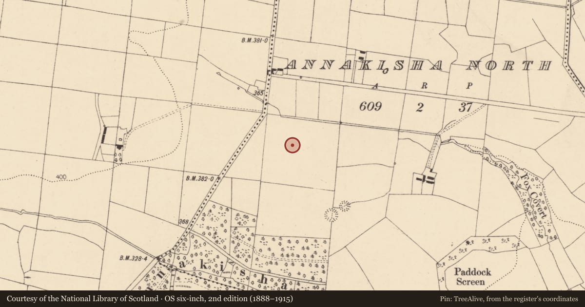 Ordnance Survey six-inch map, 2nd edition (1888–1915) covering the location of Ringfort - rath, Annakisha North, County Cork, with a pin at the register's coordinates