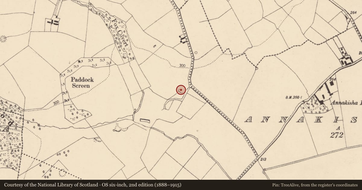 Ordnance Survey six-inch map, 2nd edition (1888–1915) covering the location of Church, Annakisha North, County Cork, with a pin at the register's coordinates