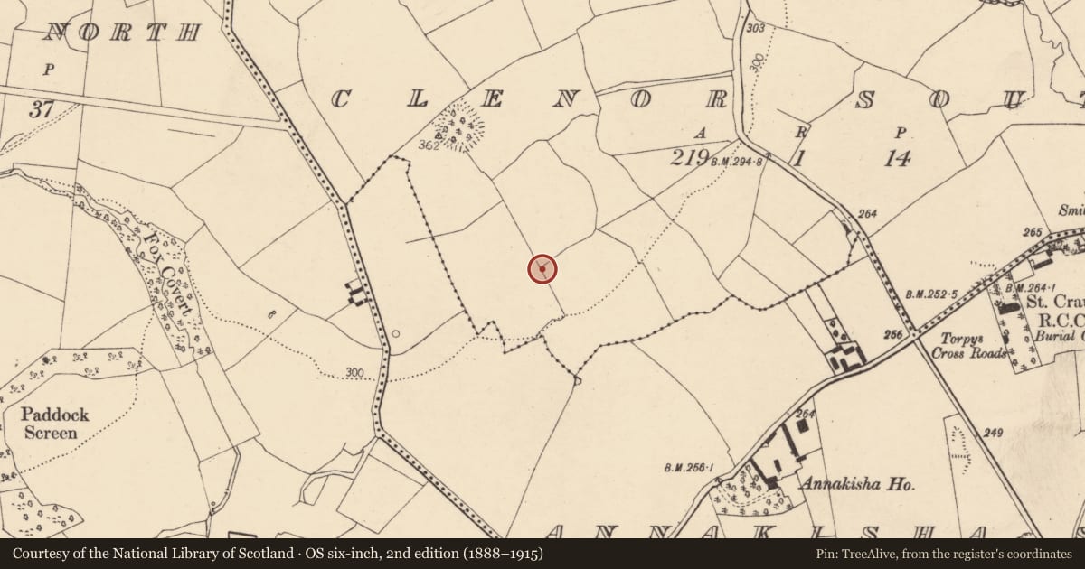 Ordnance Survey six-inch map, 2nd edition (1888–1915) covering the location of Ringfort - rath, Clenor South, County Cork, with a pin at the register's coordinates