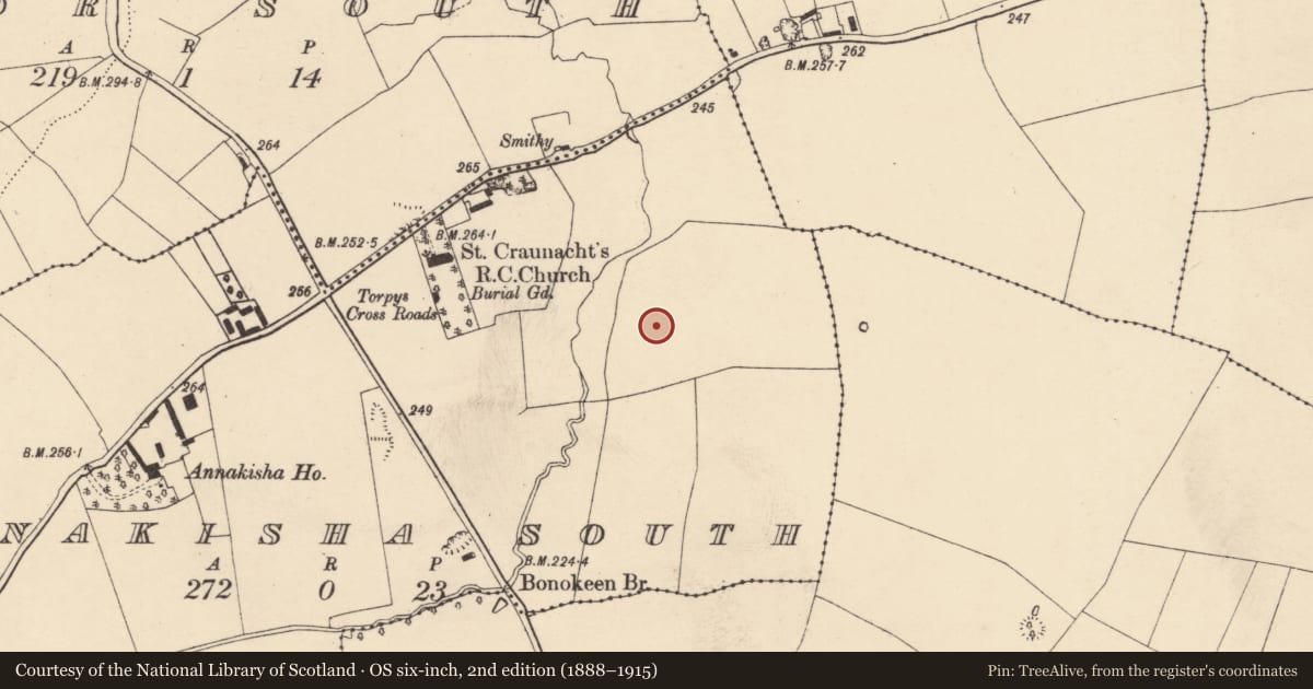 Ordnance Survey six-inch map, 2nd edition (1888–1915) covering the location of Ringfort - rath, Annakisha South, County Cork, with a pin at the register's coordinates
