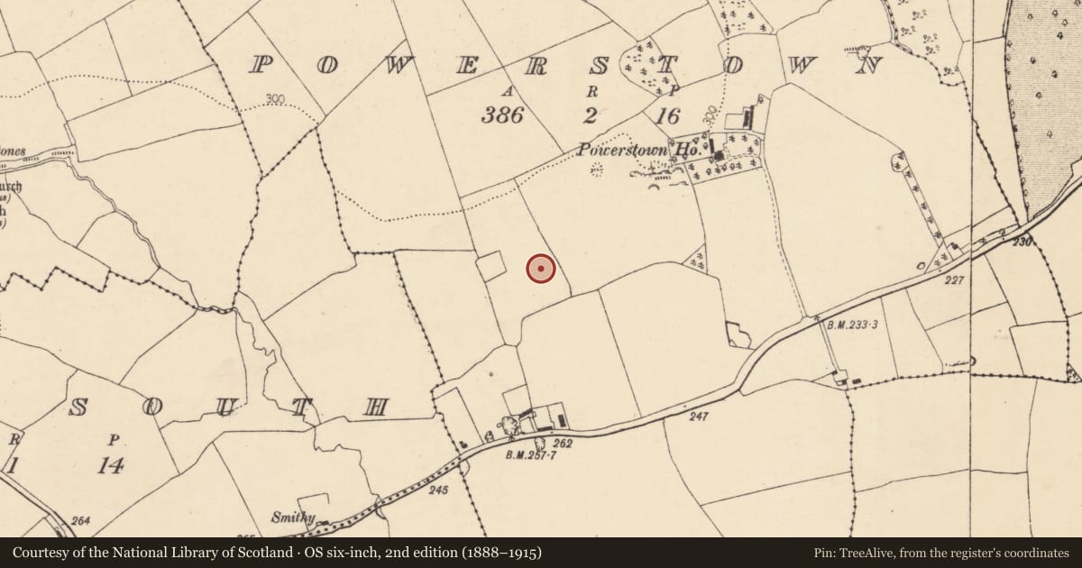 Ordnance Survey six-inch map, 2nd edition (1888–1915) covering the location of Ringfort - rath, Powerstown, County Cork, with a pin at the register's coordinates