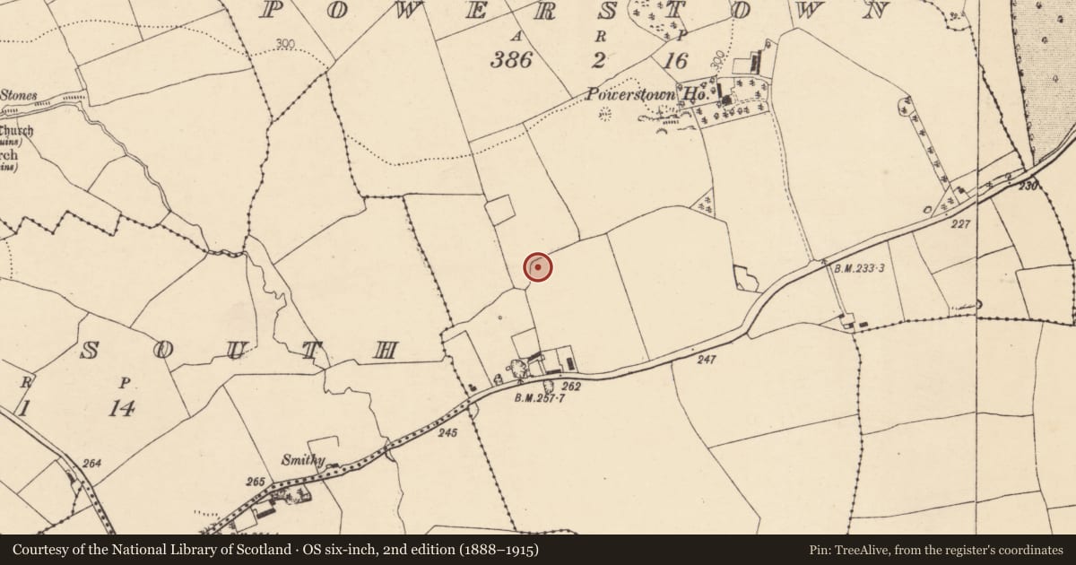 Ordnance Survey six-inch map, 2nd edition (1888–1915) covering the location of Ringfort - rath, Powerstown, County Cork, with a pin at the register's coordinates