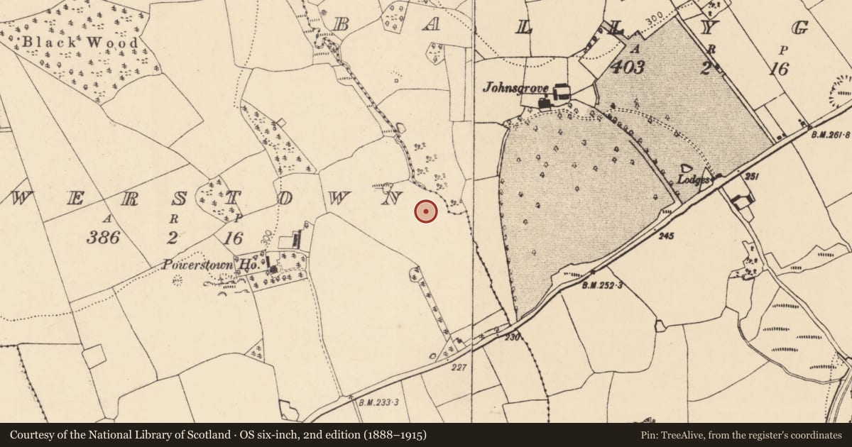 Ordnance Survey six-inch map, 2nd edition (1888–1915) covering the location of Enclosure, Powerstown, County Cork, with a pin at the register's coordinates