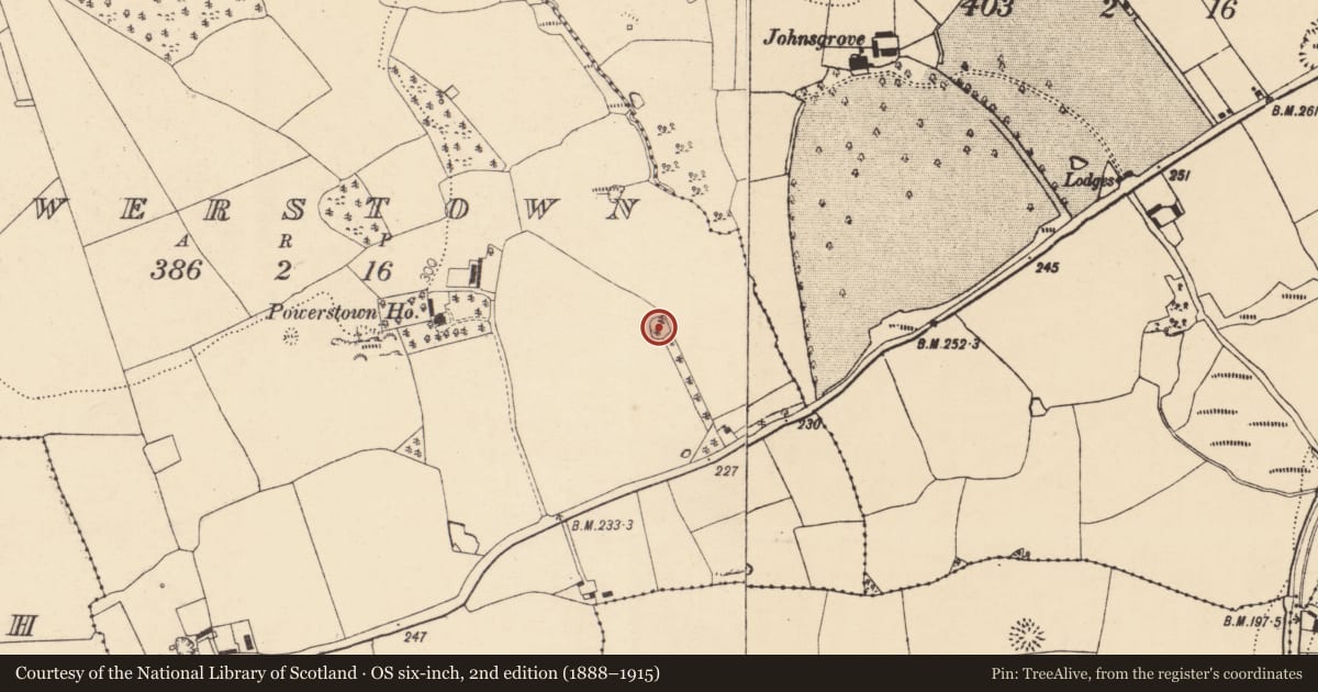 Ordnance Survey six-inch map, 2nd edition (1888–1915) covering the location of Ringfort - rath, Powerstown, County Cork, with a pin at the register's coordinates