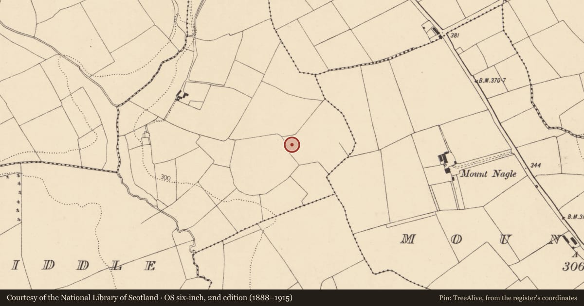 Ordnance Survey six-inch map, 2nd edition (1888–1915) covering the location of Enclosure, Ballyviniter Middle, County Cork, with a pin at the register's coordinates