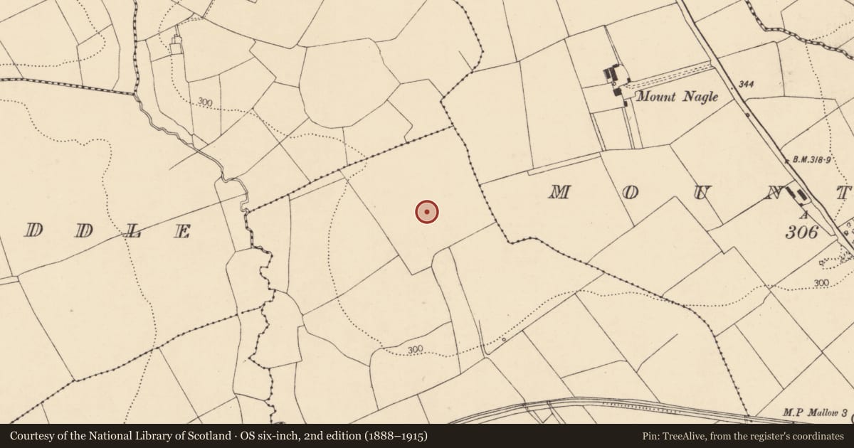 Ordnance Survey six-inch map, 2nd edition (1888–1915) covering the location of Ringfort - rath, Ballyshehan, County Cork, with a pin at the register's coordinates