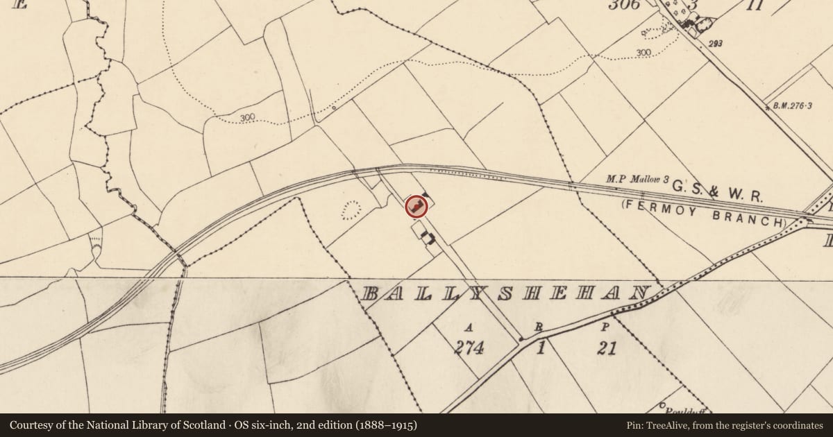 Ordnance Survey six-inch map, 2nd edition (1888–1915) covering the location of House - vernacular house, Ballyshehan, County Cork, with a pin at the register's coordinates