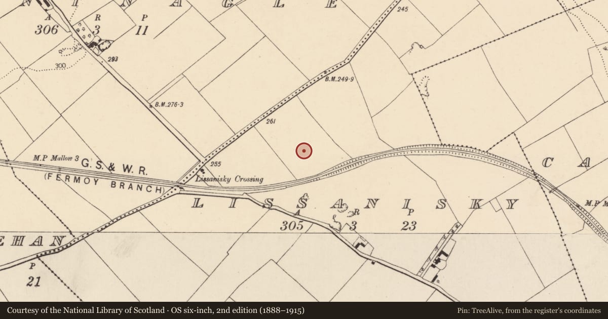 Ordnance Survey six-inch map, 2nd edition (1888–1915) covering the location of Souterrain, Lissanisky, County Cork, with a pin at the register's coordinates