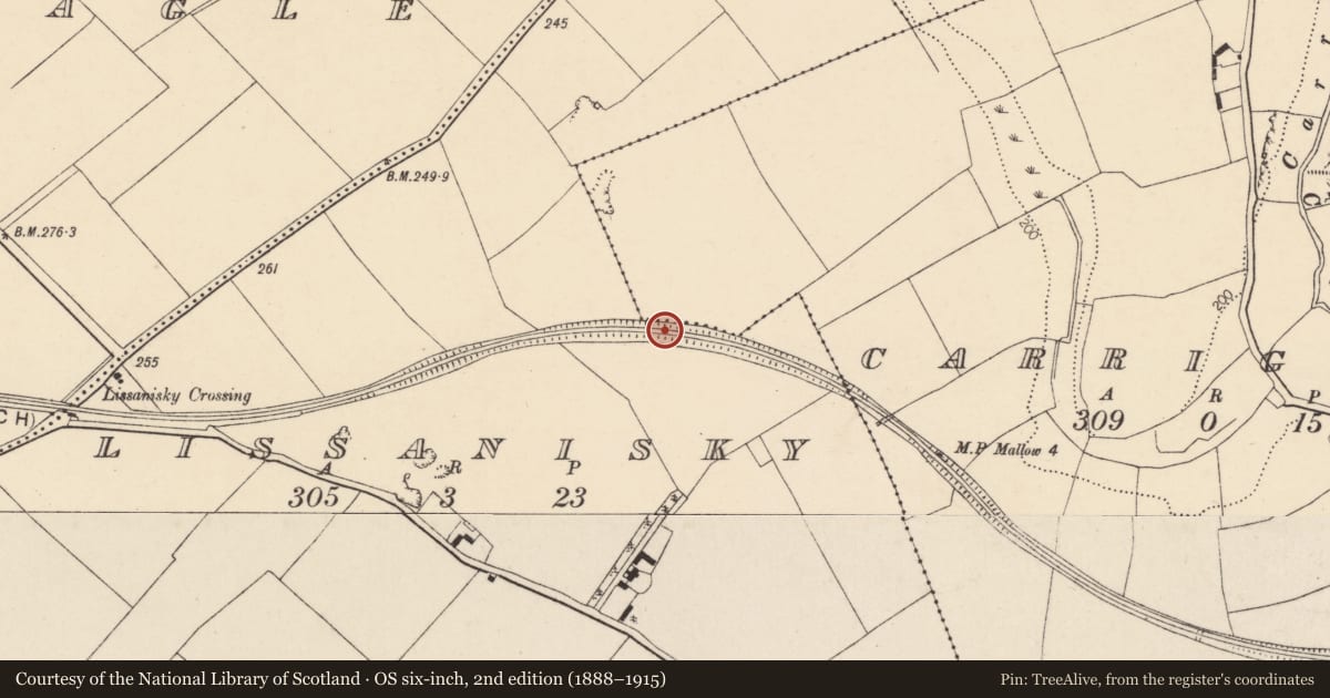 Ordnance Survey six-inch map, 2nd edition (1888–1915) covering the location of Ringfort - rath, Carrigpark, Lissanisky, County Cork, with a pin at the register's coordinates