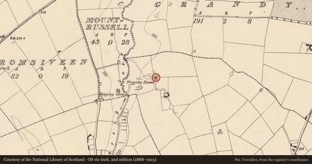 Ordnance Survey six-inch map, 2nd edition (1888–1915) covering the location of Ringfort - rath, Kilcanway, County Cork, with a pin at the register's coordinates
