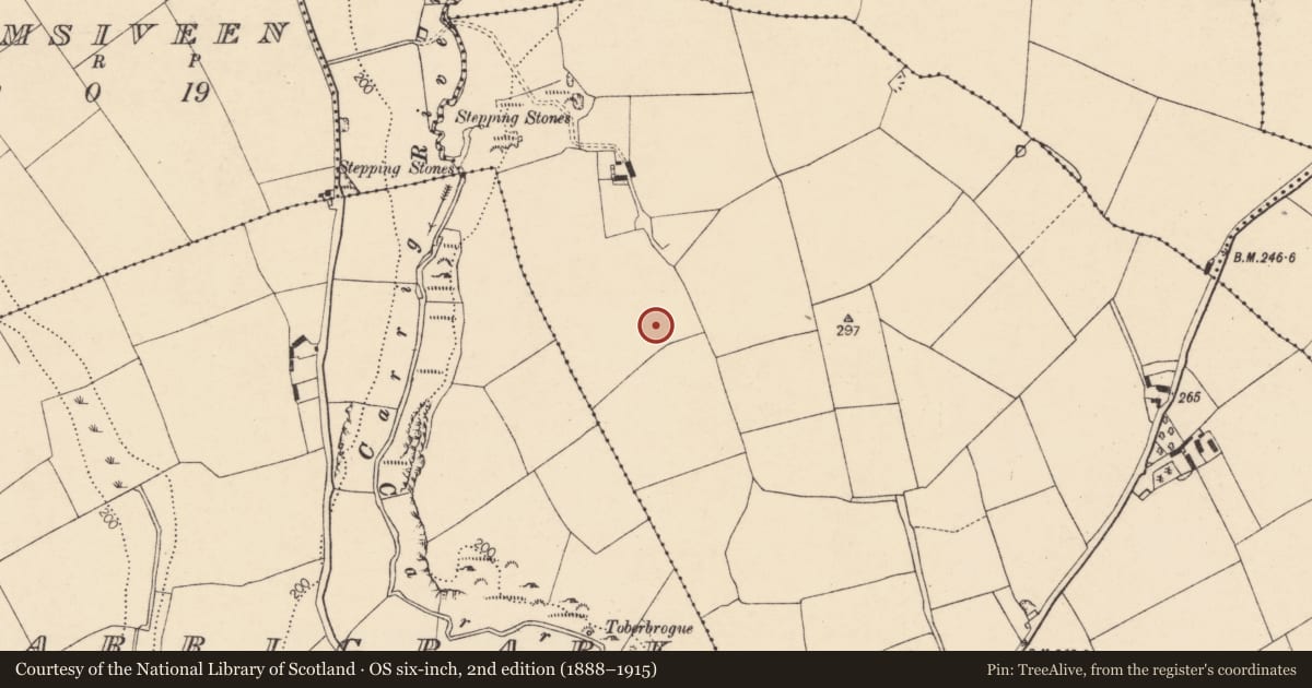 Ordnance Survey six-inch map, 2nd edition (1888–1915) covering the location of Ringfort - rath, Kilcanway, County Cork, with a pin at the register's coordinates