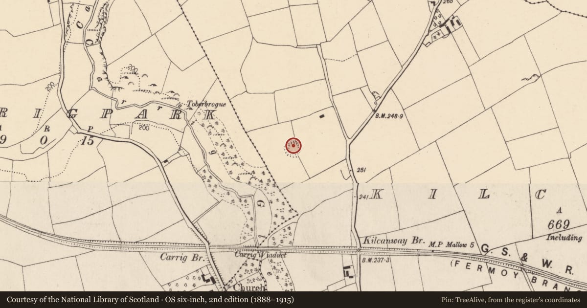 Ordnance Survey six-inch map, 2nd edition (1888–1915) covering the location of Ringfort - rath, Kilcanway, County Cork, with a pin at the register's coordinates