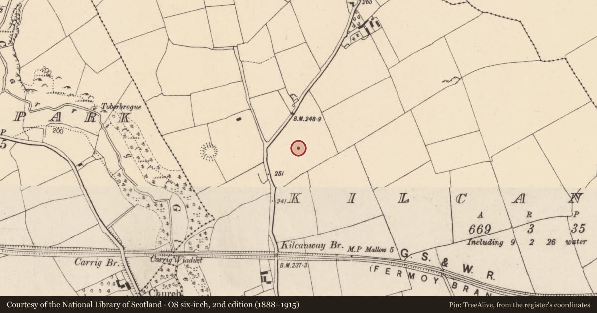 Ordnance Survey six-inch map, 2nd edition (1888–1915) covering the location of Enclosure, Kilcanway, County Cork, with a pin at the register's coordinates