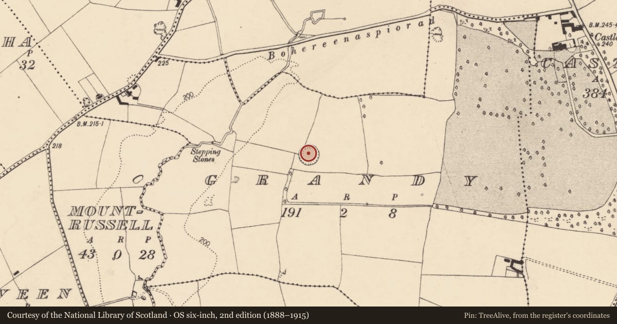 Ordnance Survey six-inch map, 2nd edition (1888–1915) covering the location of Ringfort - rath, Grandy, County Cork, with a pin at the register's coordinates