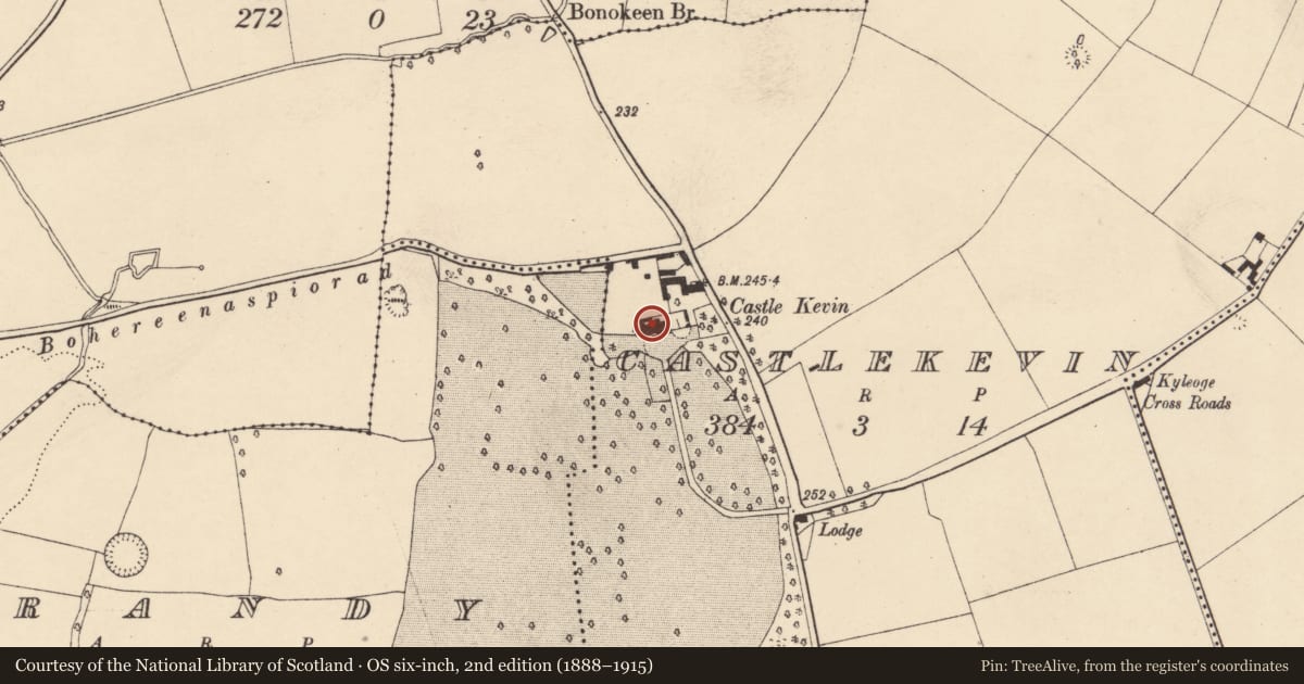 Ordnance Survey six-inch map, 2nd edition (1888–1915) covering the location of Architectural fragment, Castlekevin, County Cork, with a pin at the register's coordinates