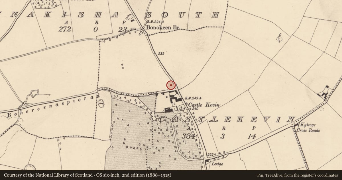 Ordnance Survey six-inch map, 2nd edition (1888–1915) covering the location of Cist, Castlekevin, County Cork, with a pin at the register's coordinates