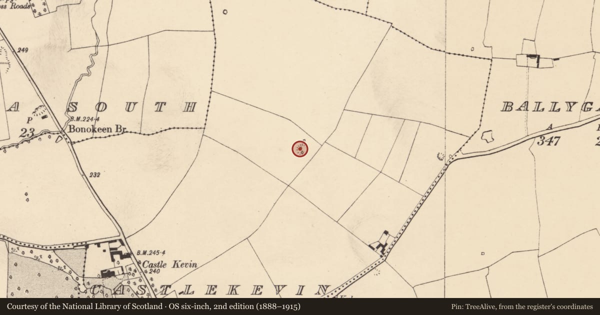 Ordnance Survey six-inch map, 2nd edition (1888–1915) covering the location of Ringfort - rath, Castlekevin, County Cork, with a pin at the register's coordinates