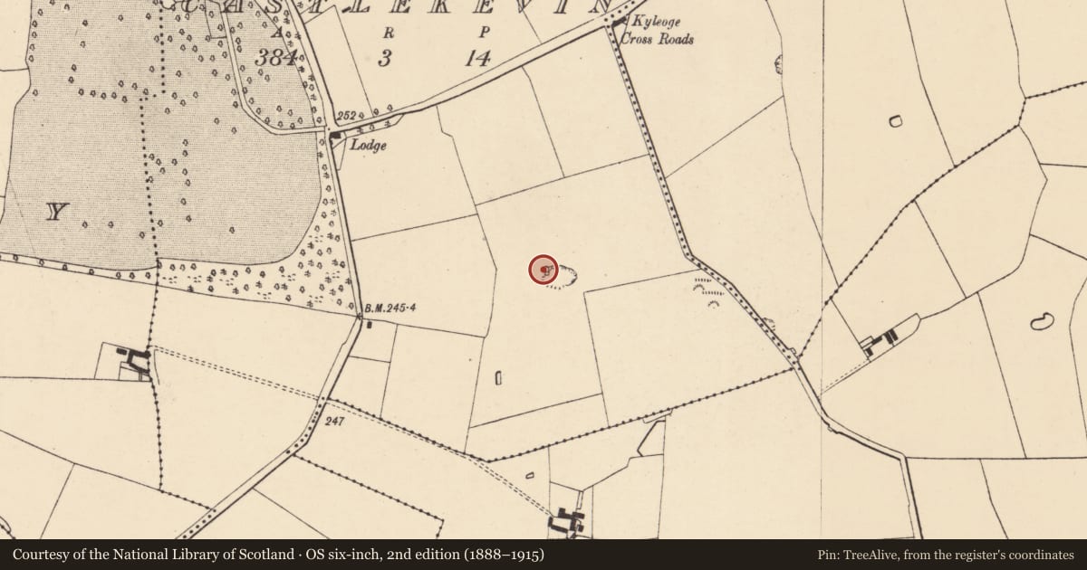 Ordnance Survey six-inch map, 2nd edition (1888–1915) covering the location of Kiln - lime, Castlekevin, County Cork, with a pin at the register's coordinates